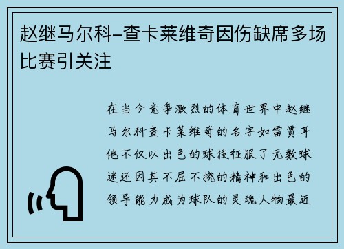 赵继马尔科-查卡莱维奇因伤缺席多场比赛引关注
